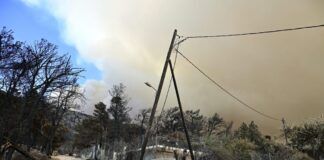 Το δίκτυο ηλεκτροδότησης μια «βραδυφλεγής βόμβα» στην καρδιά των ελληνικών δασών